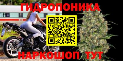 ПСИЛОЦИБИНОВЫЕ ГРИБЫ Бузулук