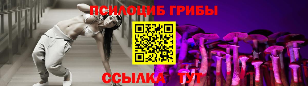 Псилоцибиновые грибы прущие грибы  как найти наркотики  Череповец  Вход с VPN 