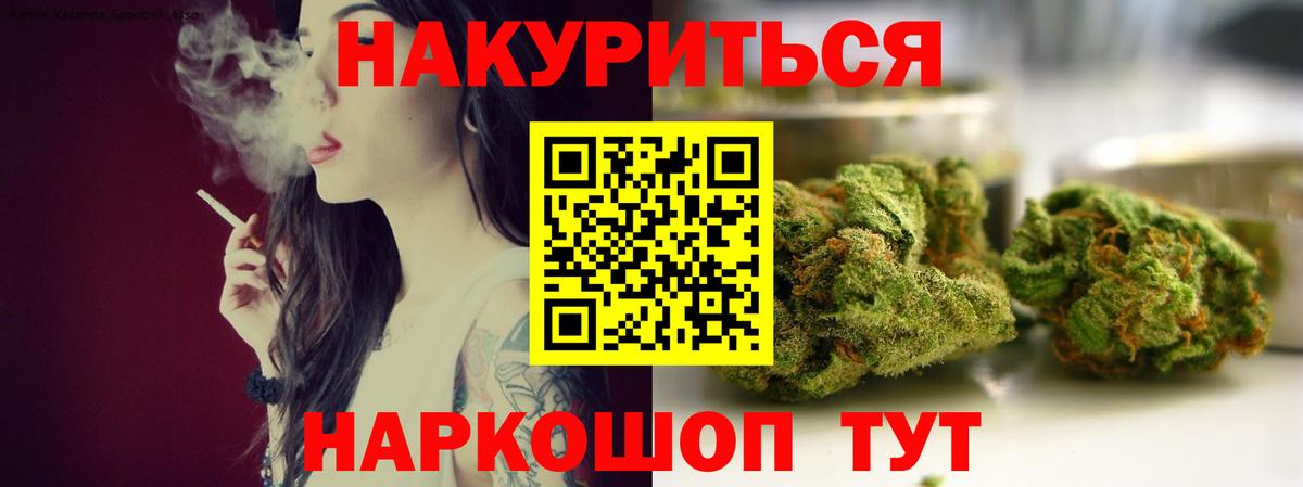 Бошки Шишки планчик Череповец